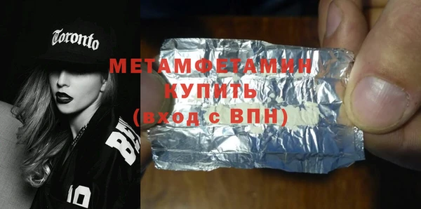 индика Бородино