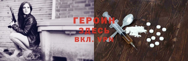 индика Бородино