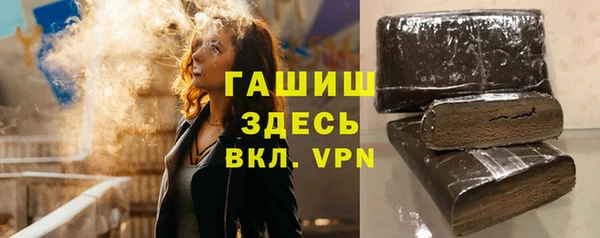 индика Бородино