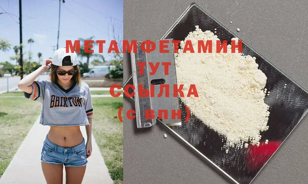 индика Бородино