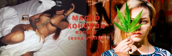 индика Бородино