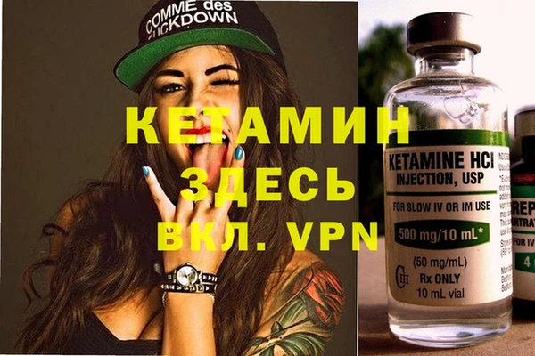 индика Бородино