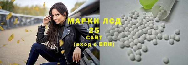 индика Бородино