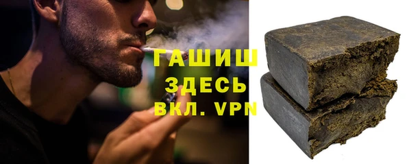 индика Бородино