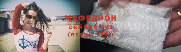 индика Бородино