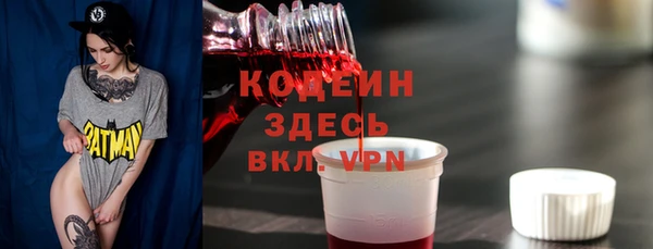 индика Бородино