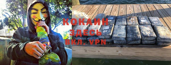 индика Бородино