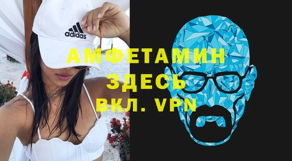 индика Бородино