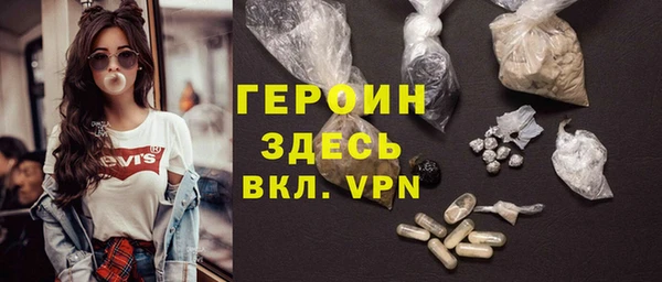 индика Бородино