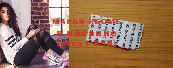индика Бородино