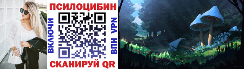 даркнет сайт  площадка официальный сайт  Псилоцибиновые грибы Magic Shrooms  Грозный 
